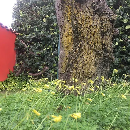 Villino Luce Nettuno